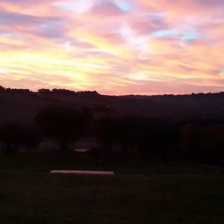 Tenuta Tredici Ulivi * Senigália