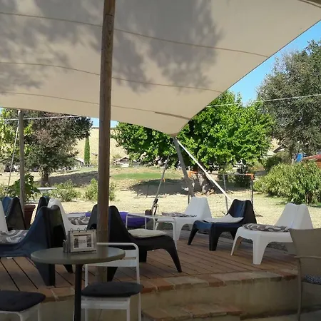 Apartamento Tenuta Tredici Ulivi *