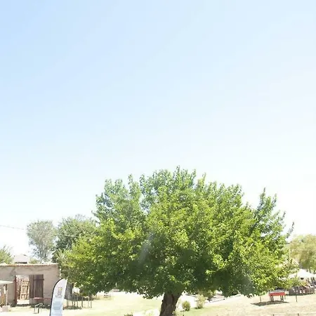 Apartamento Tenuta Tredici Ulivi *