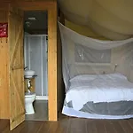 Apartment Tenuta Tredici Ulivi - & Glamping