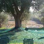 Tenuta Tredici Ulivi - & Glamping アパート *