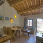 Tenuta Tredici Ulivi - & Glamping *