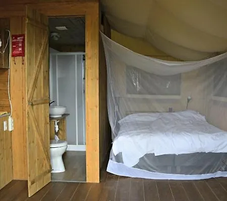 Διαμέρισμα Tenuta Tredici Ulivi - & Glamping