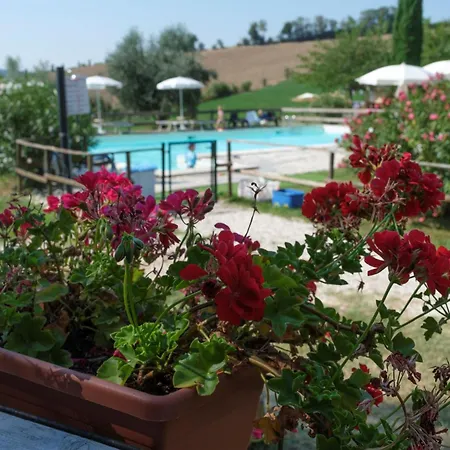 Tenuta Tredici Ulivi - & Glamping Сенигаллия