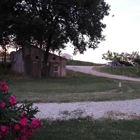 Tenuta Tredici Ulivi * Senigallia