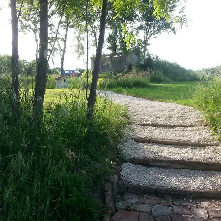 Διαμέρισμα Tenuta Tredici Ulivi - & Glamping *