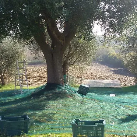 Tenuta Tredici Ulivi - & Glamping Διαμέρισμα *