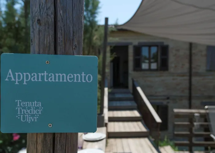 Tenuta Tredici Ulivi Senigallia