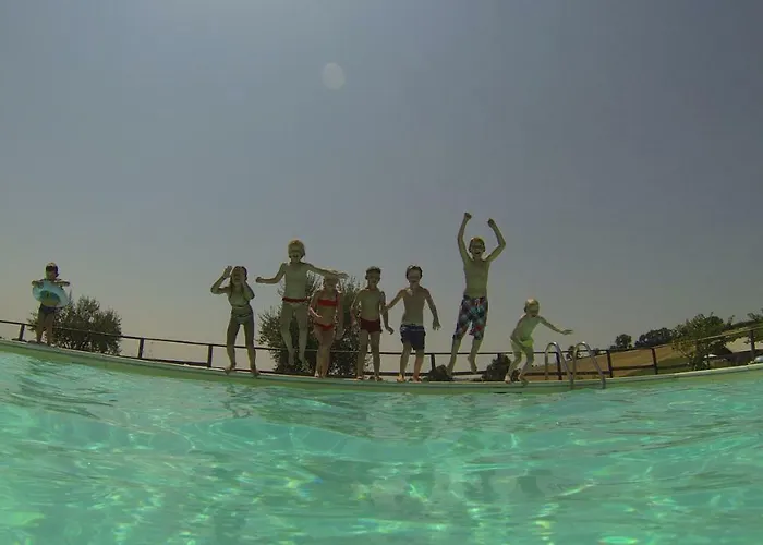 Tenuta Tredici Ulivi * Senigallia