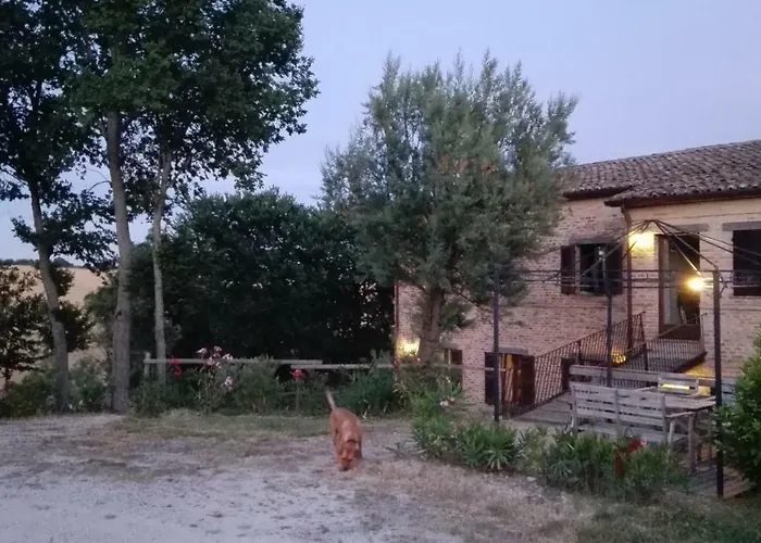 Tenuta Tredici Ulivi