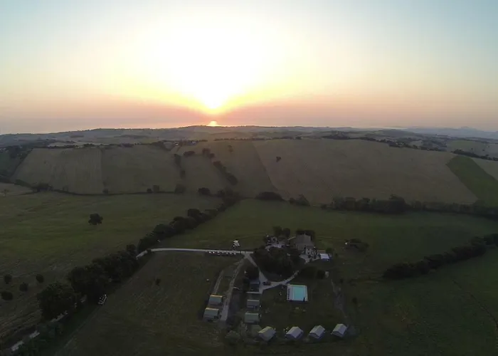 Tenuta Tredici Ulivi