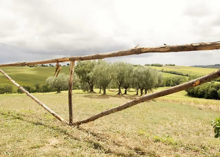 Tenuta Tredici Ulivi * Senigallia