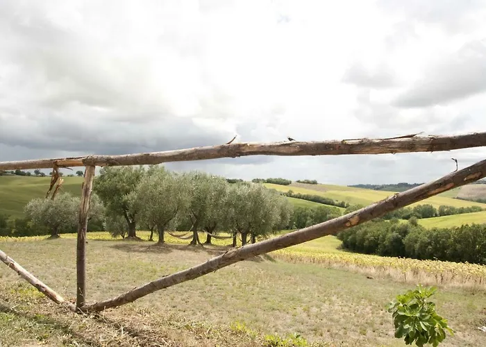 Tenuta Tredici Ulivi Appartamento Senigallia