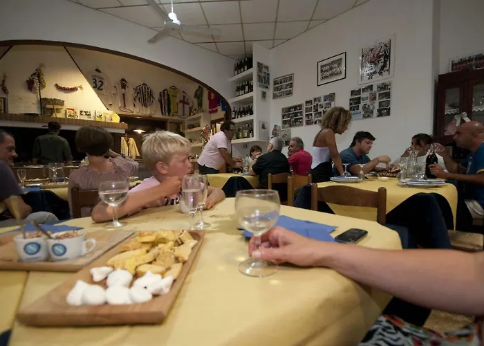 Tenuta Tredici Ulivi